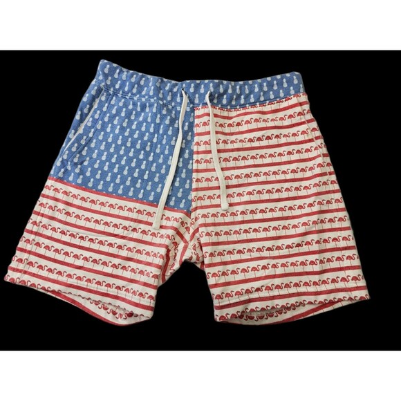 SLV Men's Medium Chubbies American Flag Flamingo Pineapple Sweatpants Shorts EUC - Picture 1 of 8